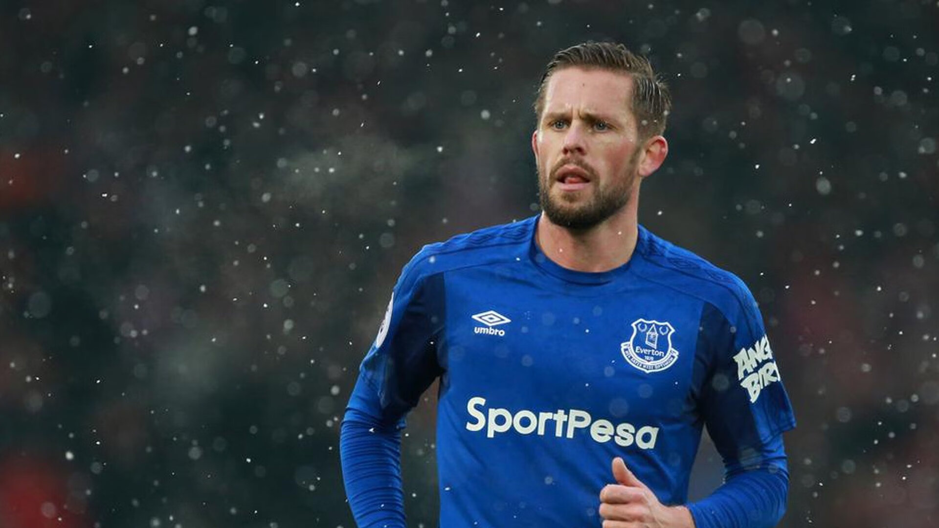 跨越现实的篮球狂想曲,辽宁队力克篮网,欧文点燃赛场